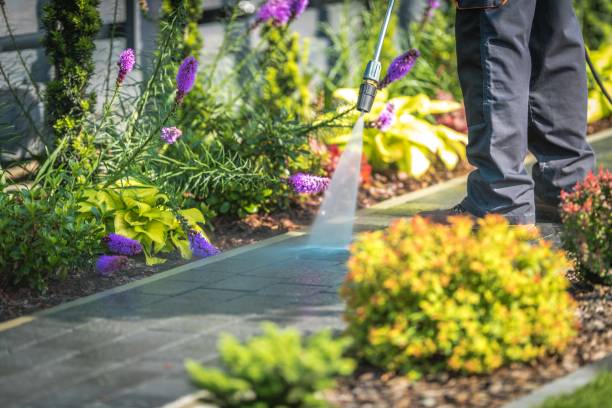  Weyauwega, WI Pressure Washing Pros