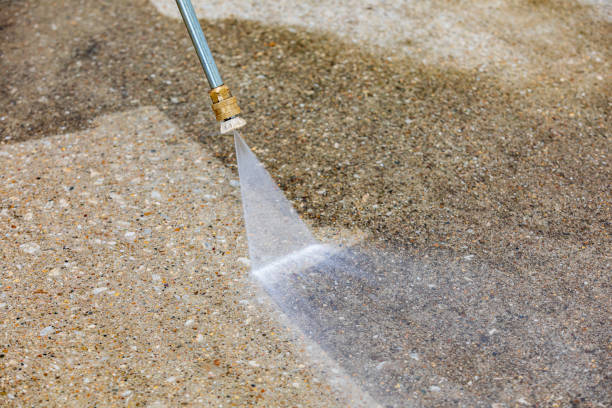 Best Soft Washing for Delicate Surfaces in Weyauwega, WI